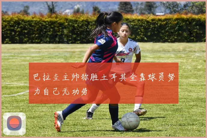 巴拉圭主帅称胜土耳其全靠球员努力自己无功劳